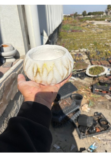 Dalgalı Dekoratif Taş Saksı Orkide ve Çiçek Saksısı