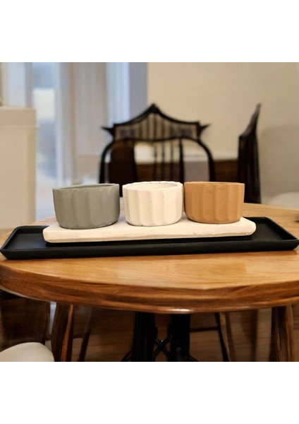 3 Taş Saksı Tepside Her Saksı 8-9 cm Çapta