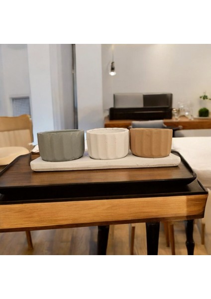 3 Taş Saksı Tepside Her Saksı 8-9 cm Çapta