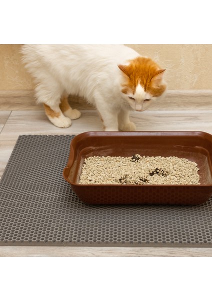 Çam Pelet Kedi Kumu | %100 Doğal, Tozsuz ve Yüksek Emici | Üstün Koku Kontrolü