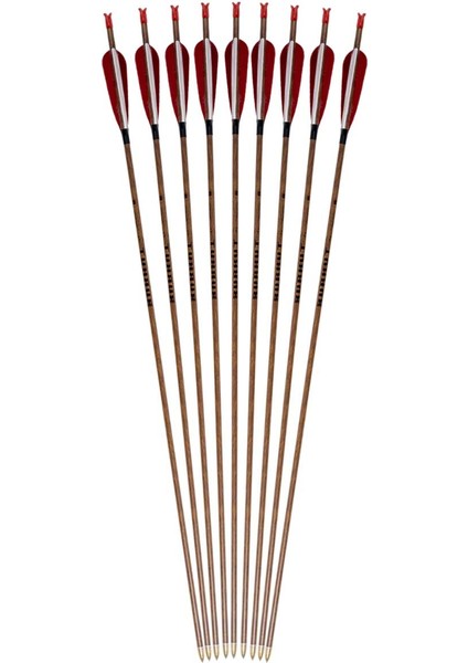 Bürküt Karbon Ok 400sp /12adet