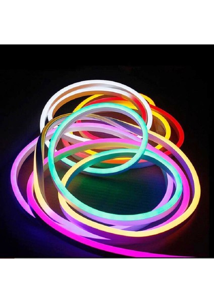 Vıp Profesyonel Cep Kontrol Kumandalı IP65 Neon Hortum LED Işık 5 Metre Renkli LED Işık Dıs Mekan