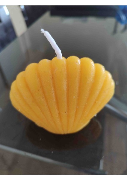 Dekıratif Istiridye Mum