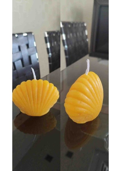 Dekıratif Istiridye Mum modelleri