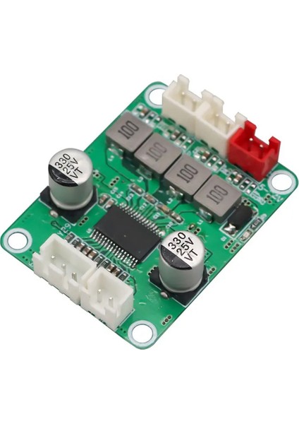 TPA3118D2 Dijital Stereo Ses Amplifikatör Kartı 30W&30W 2.0 Kanal Amplifikatör Modülü Dc 12-24V Ses Amplifikatör Modülü (Yurt Dışından)