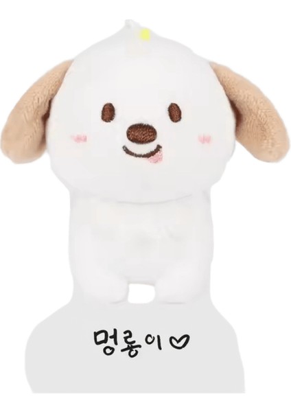 Kpop Idol Rııze 2024 Sevgililer Günüze 10CM Bebek Anahtarlık Shotaro Wonbın Eunseok Sungchan Sohee Anton Doldurulmuş Bebekler Anahtar Zincirleri Renk: Anton A / Boyut: 10 cm (Yurt Dışından)