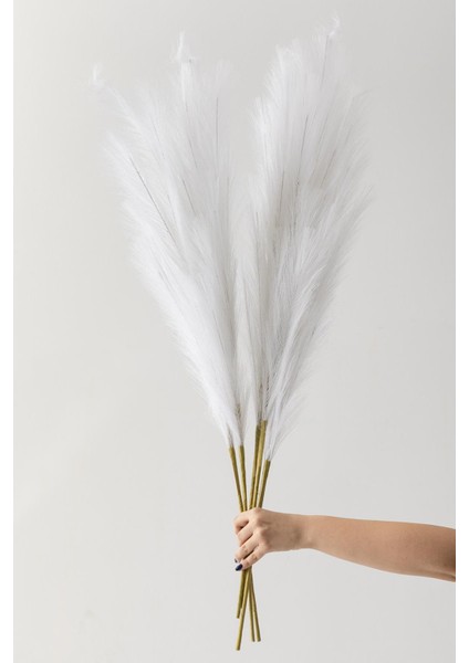 Yapay Pampas 100 cm Tek Dal Beyaz 5'li