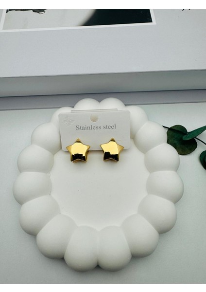Yıldız Detaylı Çelik Küpe KP439 (Gold)