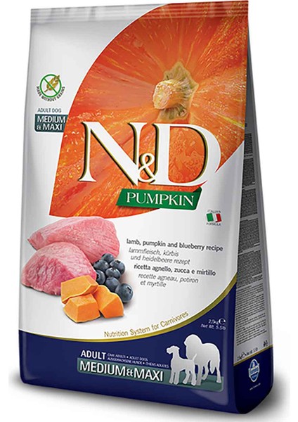 Pumpkin Kuzu Etli ve Yaban Mersinli Orta ve Büyük Irk Tahılsız Yetişkin Köpek Maması 12 kg