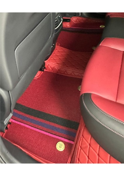 Mg Hs Arası Aracına Özel 8d Çift Katmanlı Havuzlu Paspas Takımı modelleri