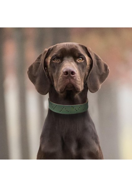El İşçiliği Hakiki Deri Köpek Tasması