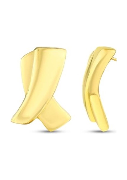 Tasarım Altın Küpe - 14K - 3.13GR