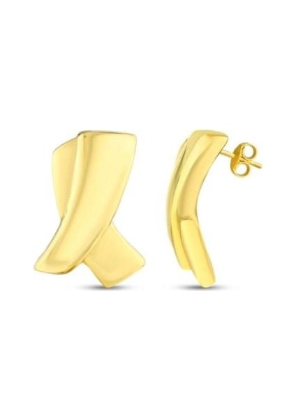 Tasarım Altın Küpe - 14K - 3.13GR