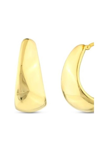 Tasarım Altın Küpe - 14K - 5.99GR