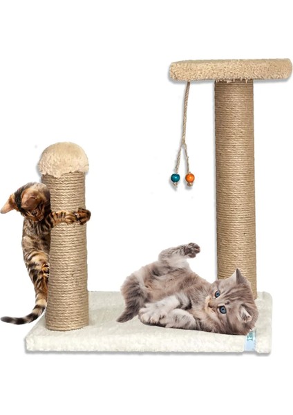 Yavru Kedi Tırmalama Ve Step Oyun Alanı