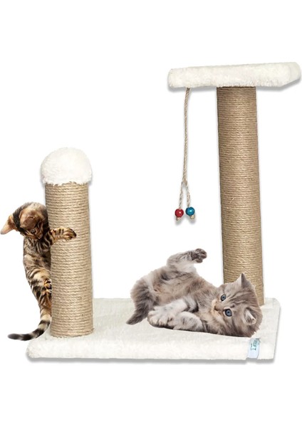 Yavru Kedi Tırmalama Ve Step Oyun Alanı