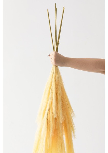 Yapay Pampas 100 cm Tek Dal Sarı 5'li