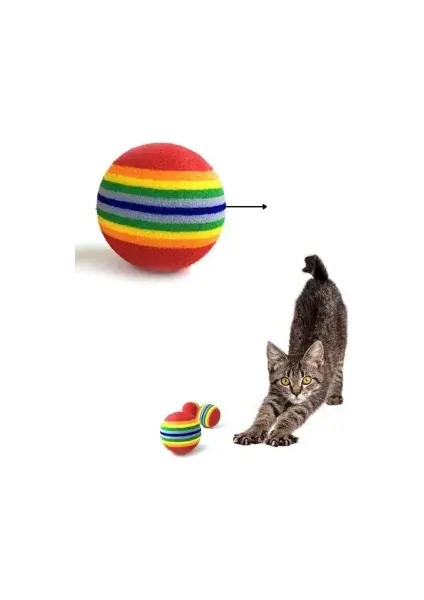 Sünger Kedi Köpek Çiğneme ve Oyun Topu 4 Adet fiyatları