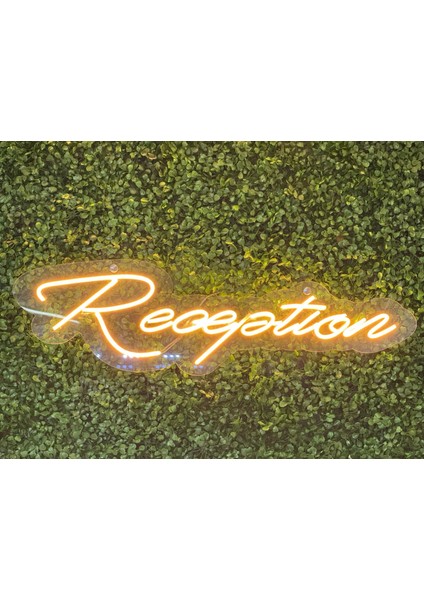 Dgrk Dekoratif Duvar Aydınlatması Neon LED Yazı Otel Hostel Konaklama Şeffaf Pleksi