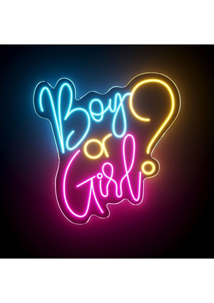 Neon LED Dekoratif Aydınlatma -Boy Or Girl, 50X45CM-