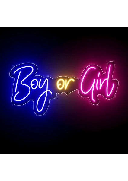 Neon LED Dekoratif Aydınlatma -Boy Or Girl2, 40X20CM-