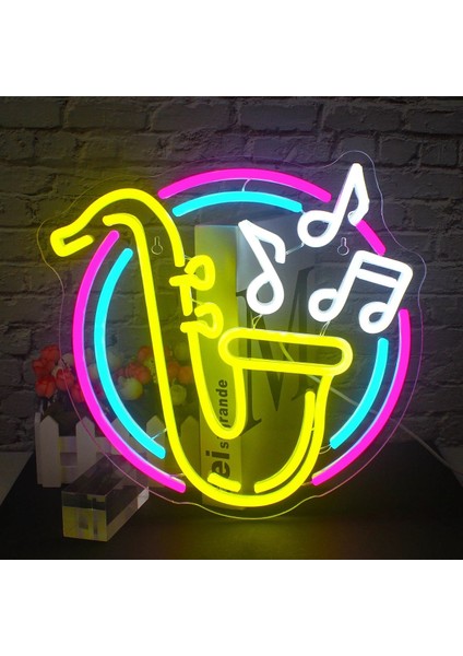 Neon LED Dekoratif Aydınlatma -Muzik, Gramafon, 50X50CM-