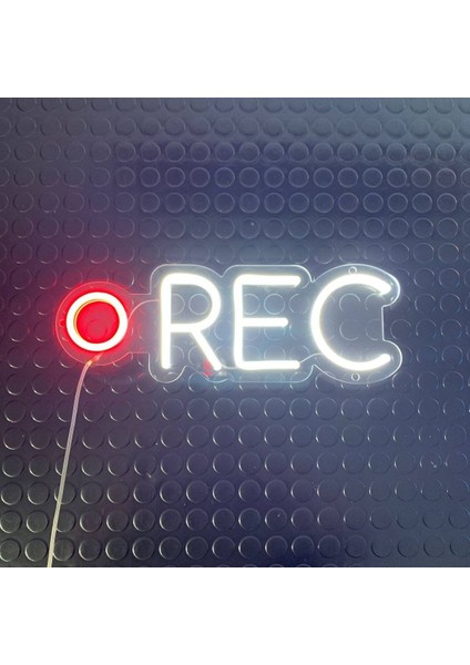 Neon LED Dekoratif Aydınlatma -Rec, Kayıt, 15X35CM-
