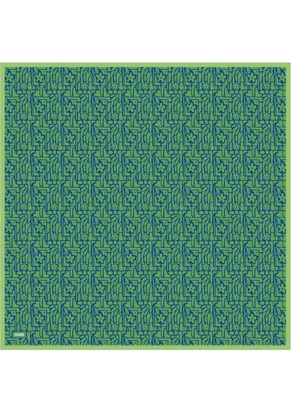 Twill Ipek Eşarp 4024-38