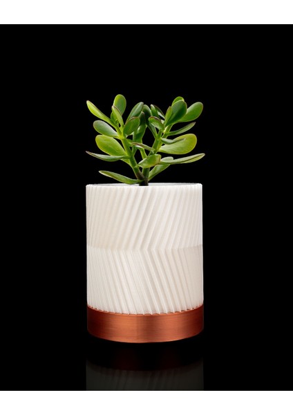 Greennest Mini Duvar Saksısı Sukulent Dekoratif Duvar Saksısı