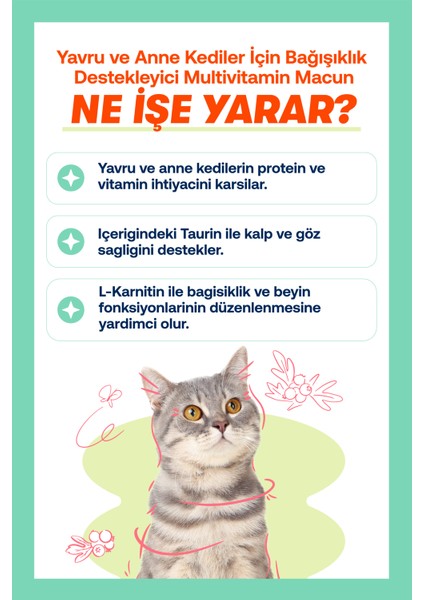Kitten Paste 100 Gr. ( Yavru ve Anne Kedi Macunu )
