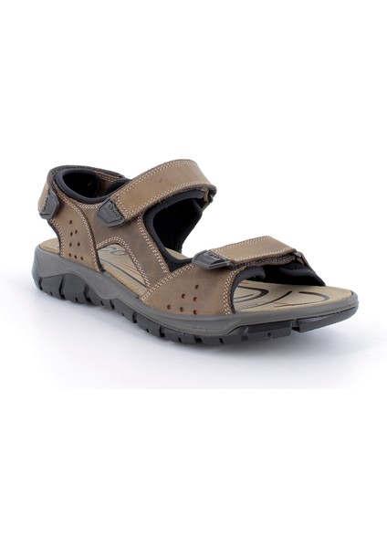 Erkek Sandalet 7645022 Igı&co Uev 76450 Nabuk Ingr.schı Fango Chiaro