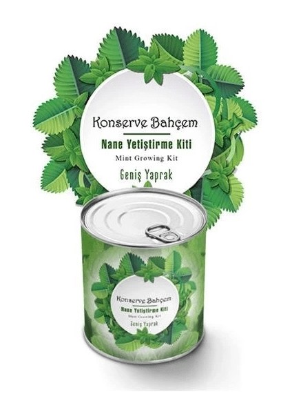 Konserve Bahçem Nane Yetiştirme Kiti