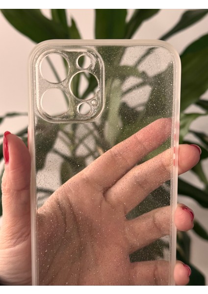iPhone 12 Pro Max Şeffaf Simli Kılıf