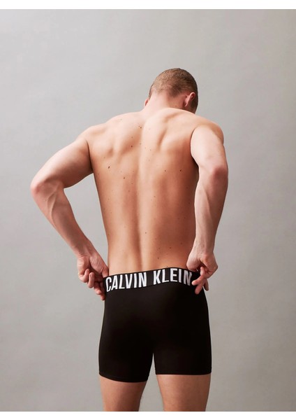 Calvın Kleın Erkek 3 Lü Boxer NB3612-001