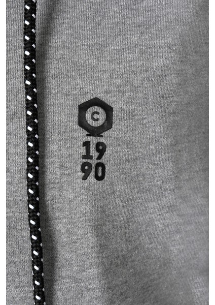 Erkek Sweatshirt 12118661-LIGHT-GREY modelleri