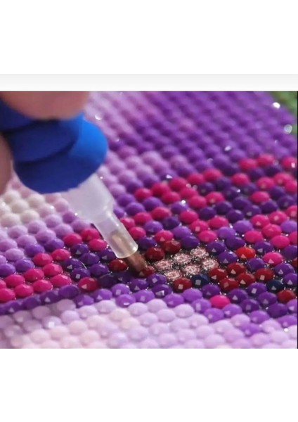 Hı Stone 5d Elmas Boncuk Taş Işleme Mozaik Goblen Kit 50X40CM GC74031 fırsatları