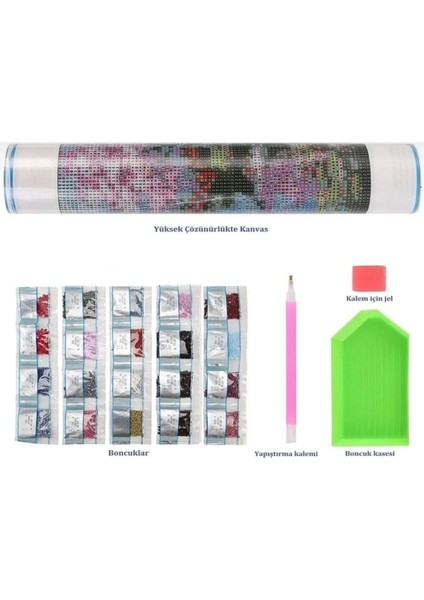 Hı Stone 5d Elmas Boncuk Taş Işleme Mozaik Goblen Kit 50X40CM GC89250 modelleri