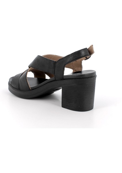 Kadın Sandalet 7674100 Igı&co Dhı 76741 Capra Tamponata Nero modelleri