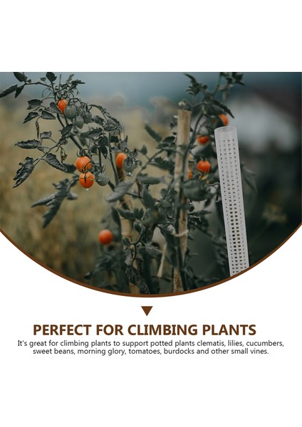 Tırmanma Direği Bitkileri Sütun Destekleyici Sürüngen Bitkileri Taşınabilir Sarmaşıklar Sütun Çiçek Yosunu Bahçecilik Aracı (Yurt Dışından) modelleri