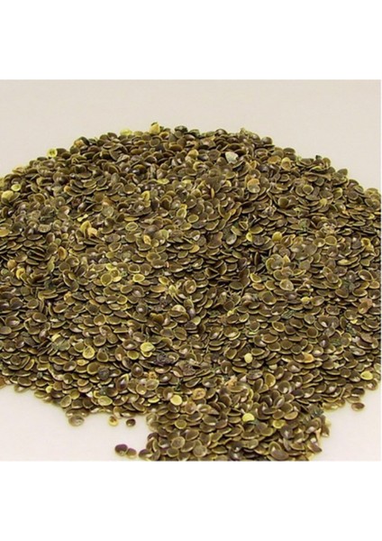 Isırgan Otu Tohumu 100 gr Yenilebilir Taze Yeni Mahsül