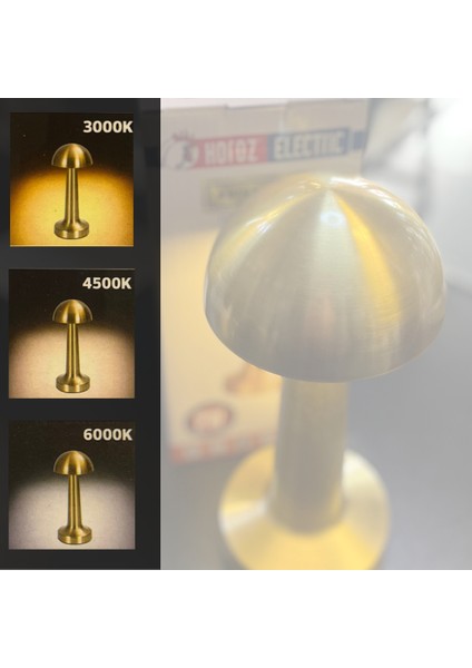 Horoz 050-003-0001 Aviva Şarjlı Masa Lambası Gold