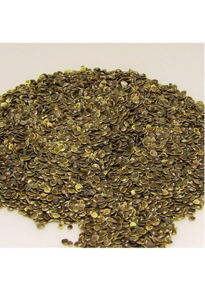 Isırgan Otu Tohumu 500 gr Yenilebilir Taze Yeni Mahsül