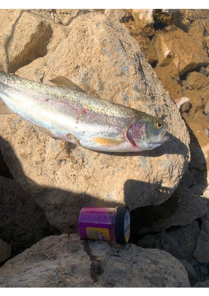 Power Bait Natural Scent Glitter - Nymphe(25645) modelleri