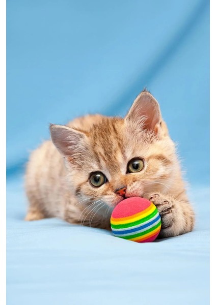 4 Adet Gökkuşağı Renkli Kedi Köpek Oyun Topu 4,2 cm indirimleri