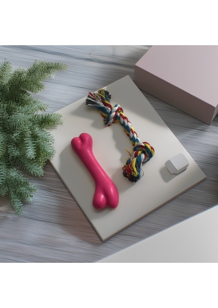 Köpek için Kemik ve İp'ten Oluşan 2'li Eğitim, Diş Temizleme ve Çiğneme Oyuncağı