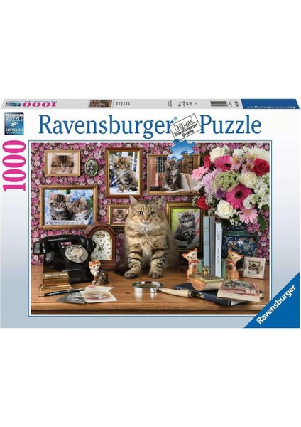 Puzzle, Cute Kitty, 1000 Parça