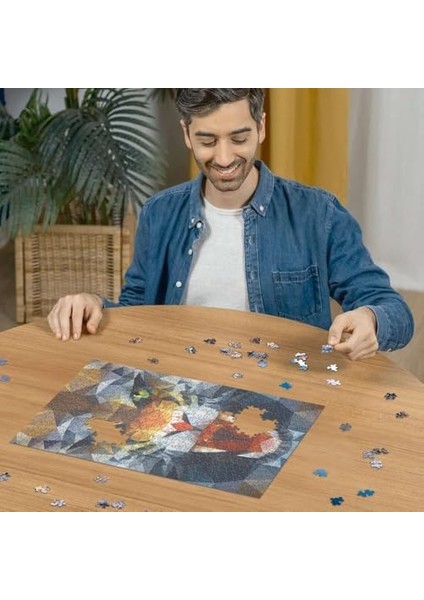 500P Puzzle Köşeli Aslan, Yapboz modelleri