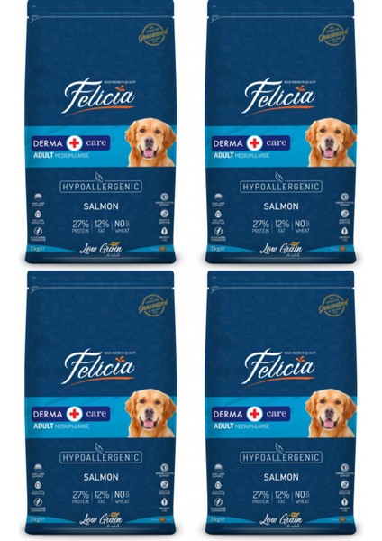 Hypoallergenic Medium Large Somonlu Düşük Tahıllı Yetişkin Köpek Maması 3 kg - 4 Adet