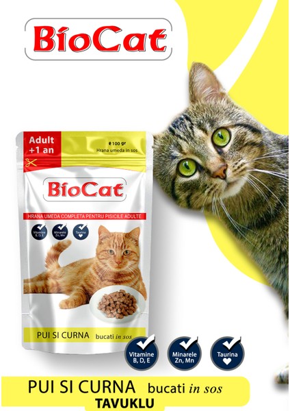 Soslu Kedi Yaş Maması Kedi Pounch 100gr x 5 adet modelleri