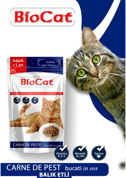 Soslu Kedi Yaş Maması Kedi Pounch 100gr x 5 adet indirimleri